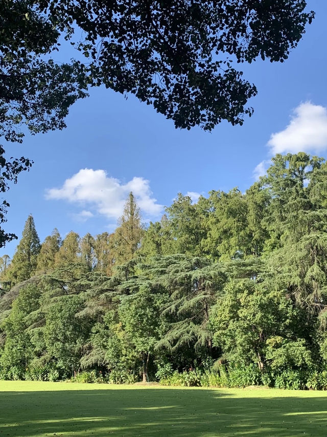 魔都隱蔽寶藏!西郊賓館免費參觀全攻略 魔都隱蔽寶藏!西郊賓館免費參觀全攻略