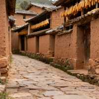 省錢遊彌勒2天夠過癮！湖泉踏浪、東風賞花，少花錢也能爽翻天