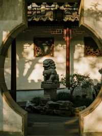 崂山親子賞秋5大景區+親子路線|帶娃解鎖古樹紅楓