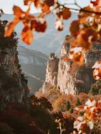 濰坊石門坊親子賞秋帶娃解鎖漫山紅葉與童趣時光