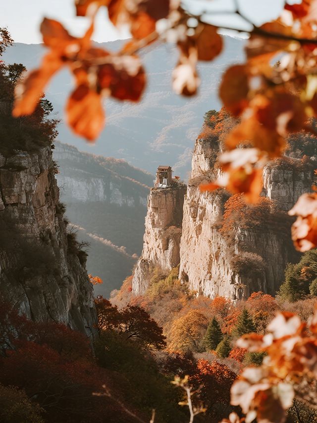 濰坊石門坊親子賞秋帶娃解鎖漫山紅葉與童趣時光 濰坊石門坊親子賞秋帶娃解鎖漫山紅葉與童趣時光