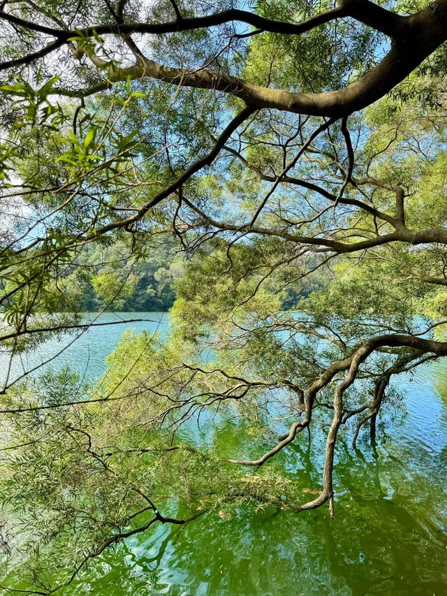 江門圭峰山|綠湖如碧玉嵌翠嶺 環湖暢遊醉氧吧 江門圭峰山|綠湖如碧玉嵌翠嶺 環湖暢遊醉氧吧