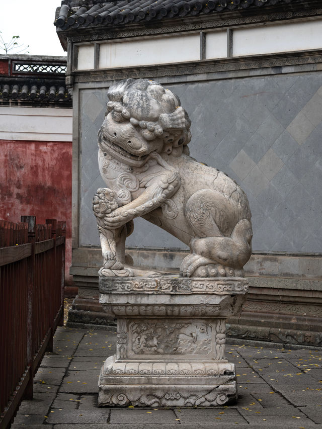 鹽官古城現場吃瓜乾隆是陳閣老的兒子！