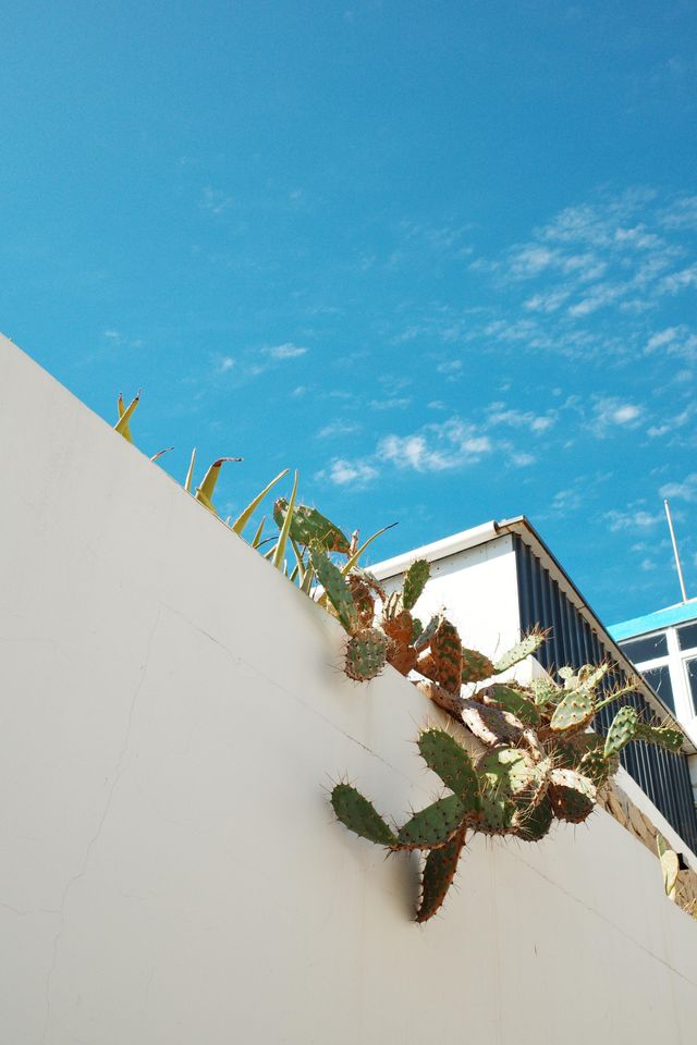 上海2h直達！初冬藍白小島美到窒息