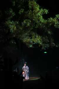 千年水鄉的時空對話，除了震撼還是震撼！