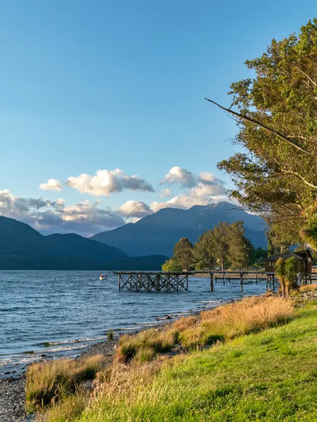 Winter Vacation/Spring Festival Small Group Tour to New Zealand | South Island Whale Watching + Fjord Viewing