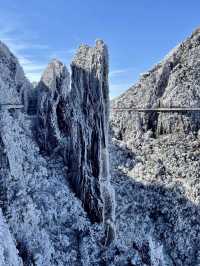 廣東雪景平替1.5h直達莽山絕美霧淞秘境