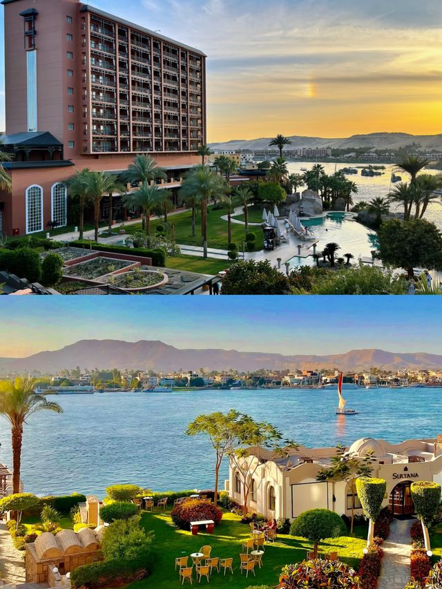 埃及帶娃天花板玩法！7天解鎖金字塔+紅海躺平爽翻天