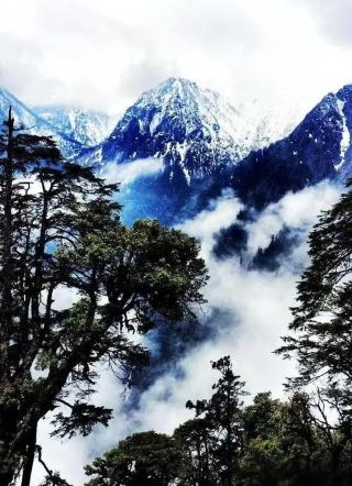 Gaoligong Mountain—Nujiang Bingzhongluo In-Depth Trekking Guide: Exploring the Secret Corridor Where Humans and Gods Coexist