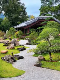 這是我花5蚊雞就能看到的景色？！？！