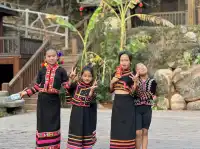 春節版納普洱行