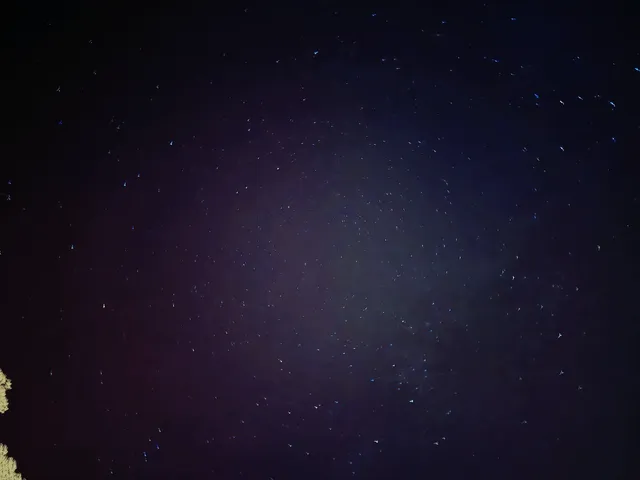 嶺南紅葉世界 嶺南紅葉世界