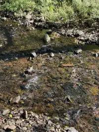 室外遛娃｜諸暨五泄 闖入秋葉世界