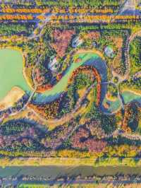 泗洪2天1夜|城東生態公園秋意濃!