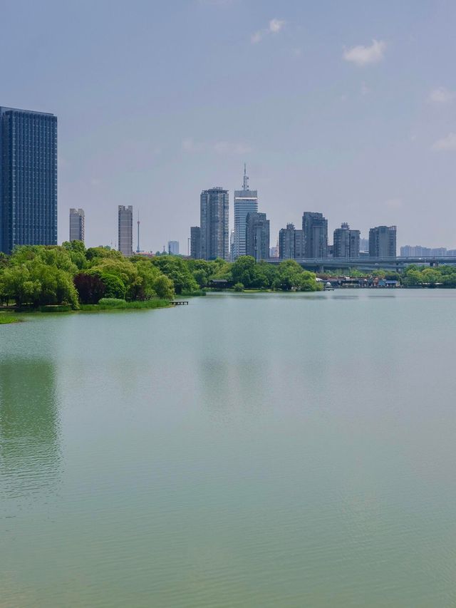 長沙散步天花板!住豪生步行去月湖,晚風+燈光美到不想走! 長沙散步天花板!住豪生步行去月湖,晚風+燈光美到不想走!