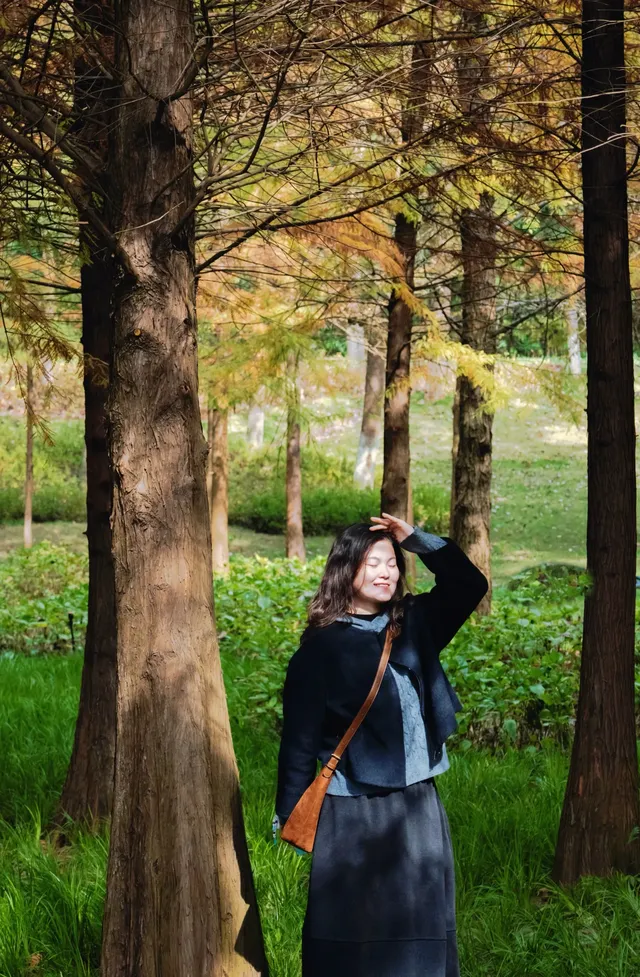 德陽東湖山水杉林紅了！陽光穿透紅杉林絕美