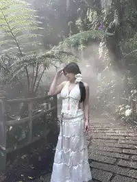 廈門植物園保姆級攻略 | 附最美拍照點