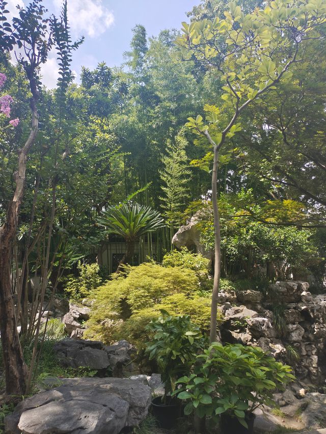 12月份來魔都避坑指南 12月份來魔都避坑指南