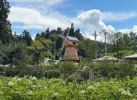 禾麒秘境 花漾田園