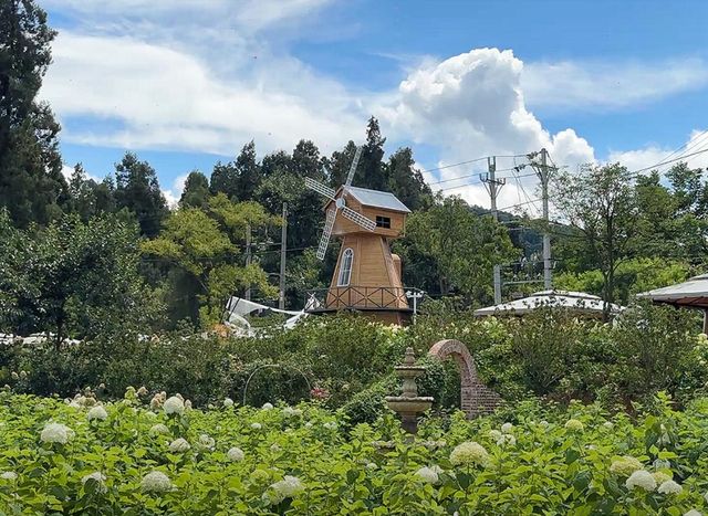 禾麒秘境 花漾田園