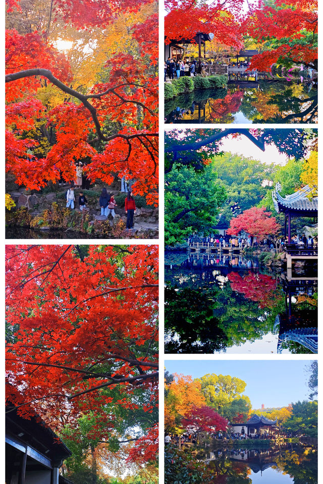 12月初實探｜無錫惠山古鎮，邂逅一場盛大的江南深秋