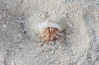 A Dream Vacation in Maldives