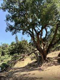 浙江諸暨走馬崗徒步｜小眾秘境人少景美