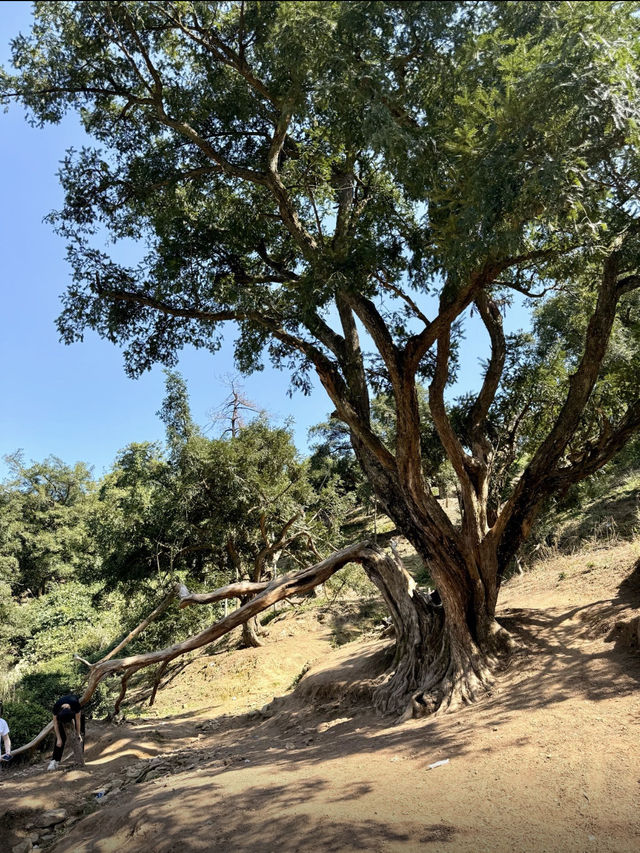 浙江諸暨走馬崗徒步｜小眾秘境人少景美
