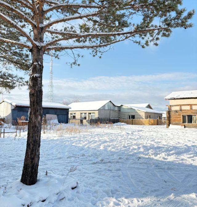 誰懂啊!12月的漠河才是冬日童話天花板 誰懂啊!12月的漠河才是冬日童話天花板