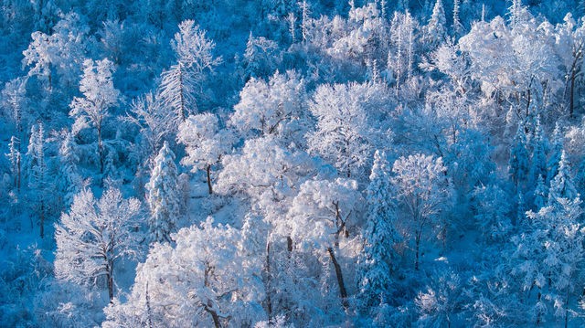 雪谷封神！金澤溫泉小鎮的冰火浪漫