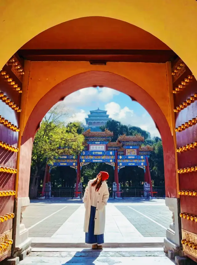 I would call it the most worthwhile 2 yuan flower in Beijing