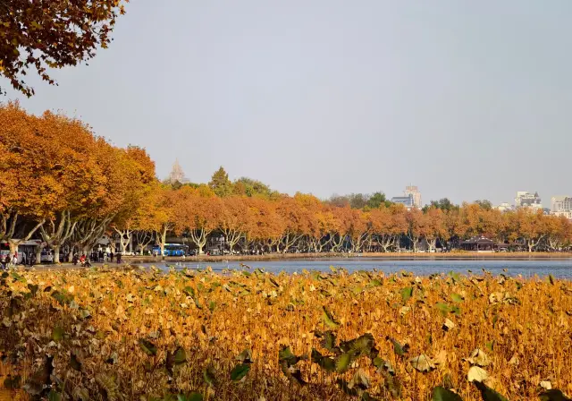 Come to the famous mountains by West Lake in Hangzhou, reach the summit in 10 minutes!