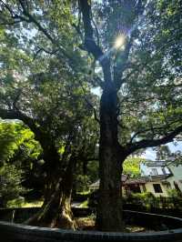 步暖冬日：方家河頭古村尋幽與蘭嶼古道徒步指南