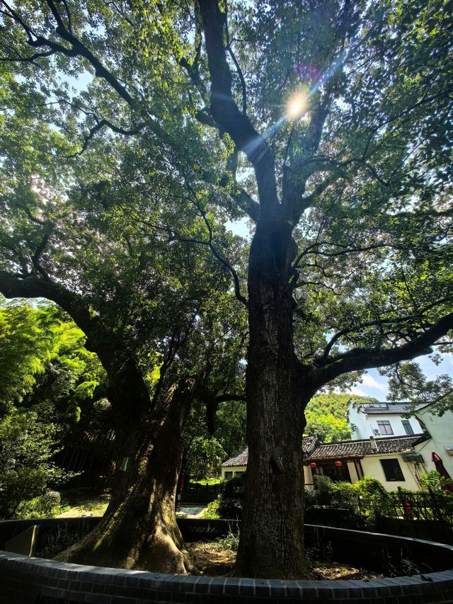 步暖冬日：方家河頭古村尋幽與蘭嶼古道徒步指南