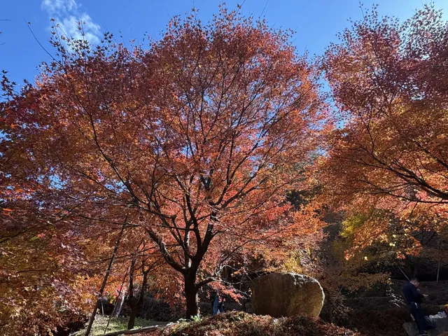 不是京都!實況無調色 不是京都!實況無調色