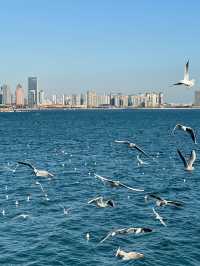 不出青島也能在 雪凇下和小鹿貼貼