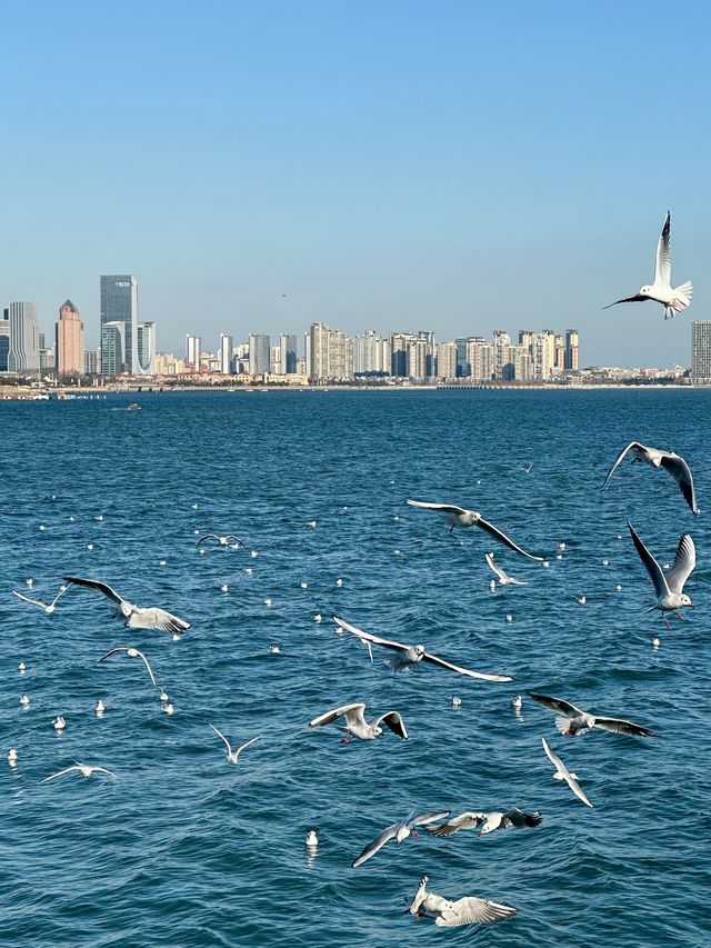 不出青島也能在 雪凇下和小鹿貼貼 不出青島也能在 雪凇下和小鹿貼貼