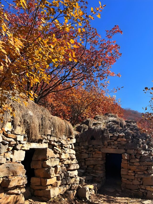 邢台佛照山|秋日寶藏免費景區親子遊玩好去處 邢台佛照山|秋日寶藏免費景區親子遊玩好去處