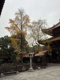 南岳 / 聖公聖母殿