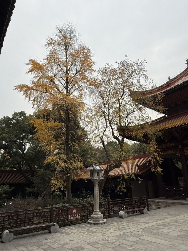 南岳 / 聖公聖母殿 南岳 / 聖公聖母殿