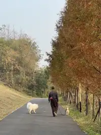 12.1實況live紹興鳳凰山美翻了!!!!!!