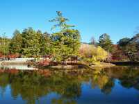 11月好去處|奈良東大寺:古韻與秋色共舞
