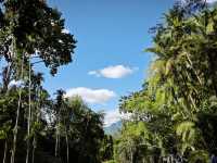 中國科學院西雙版納熱帶植物園真的太寶藏了，必須安利給大家