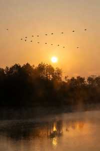秋天的千島湖到底有多美答案都藏在這裡啦