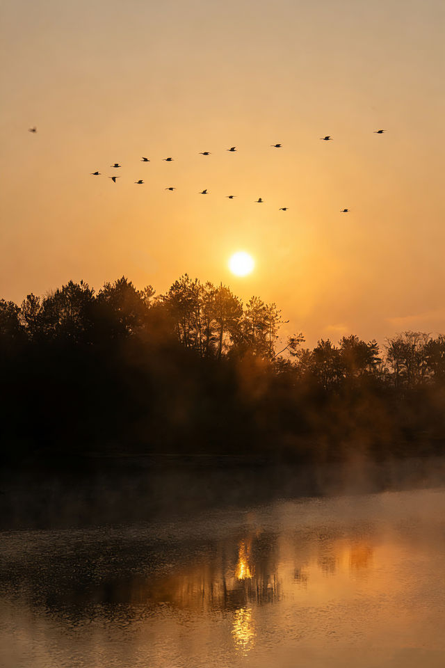 秋天的千島湖到底有多美答案都藏在這裡啦 秋天的千島湖到底有多美答案都藏在這裡啦