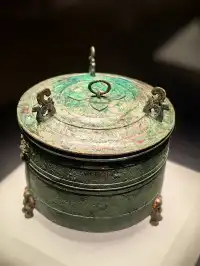 你以為你遇到的是一隻“ i 鳳”??