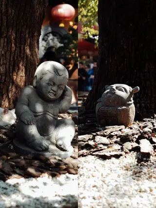 Longhua Ancient Temple | Catch the last leaves of the ginkgo tree and pet a cat bracelet