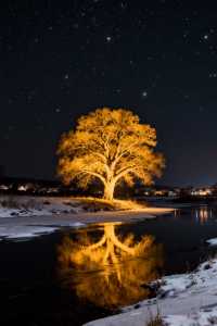 阿那亞童話月點燈儀式｜一起走進冬日夢幻星光森林