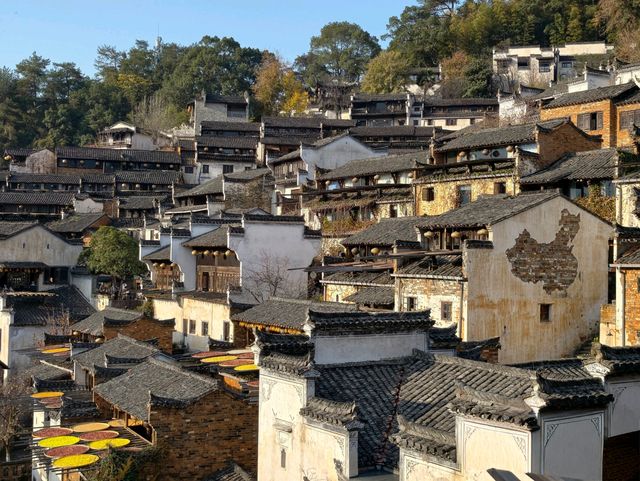 別傻逛篁嶺了！沒聽過這個故事等於白來！