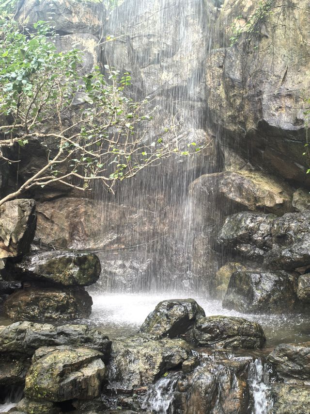 魔都打卡日記世博溫室花園+3號倉庫美食探店 魔都打卡日記世博溫室花園+3號倉庫美食探店